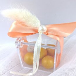 Μπομπονιέρα κουτί plexiglass με διακόσμηση Bunny tail