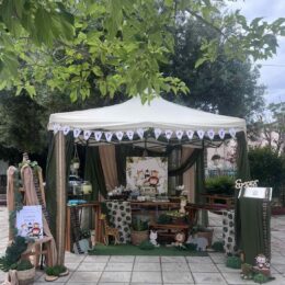 Στολισμός βάπτισης θεματικός με ζωάκια